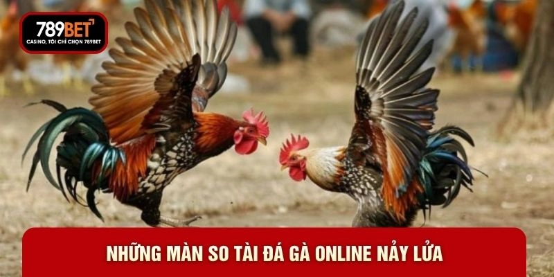 Những màn so tài đá gà online nảy lửa 